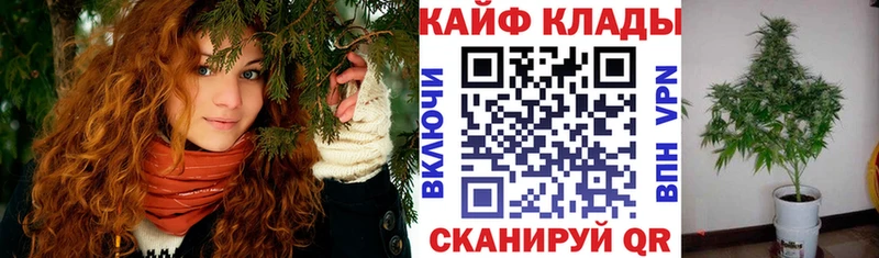 Купить Кокаин  Alpha PVP  Codein  Мефедрон  Марихуана  АМФ  Павлово