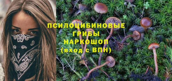 таблы Гусиноозёрск