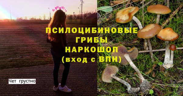 гашишное масло Гусев