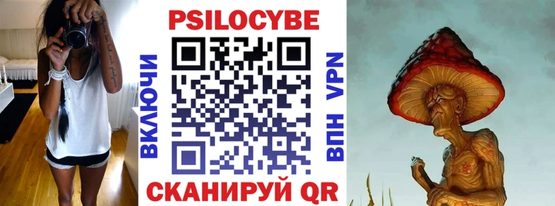 Купить  Павлово  Псилоцибиновые грибы мицелий 